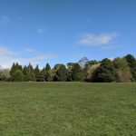 高齢者では全く外出しないことは避けた方がいいかなと思います。