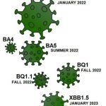 アメリカではXBB1.5は予想していたより感染拡大していないようですね。