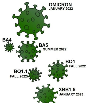 アメリカではXBB1.5は予想していたより感染拡大していないようですね。
