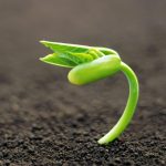 あっという間に４月が終了・・・５月スタートですね！！