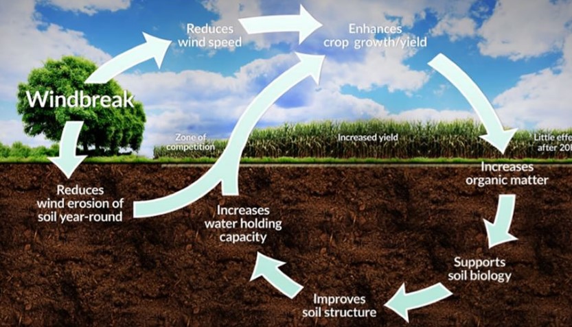 土壌改良→種まき→栽培→収穫→次のシーズンへの準備・・・今はどのフェイズ？？