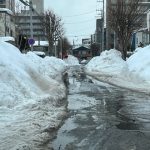 札幌の道路事情はかなり悪いですね。皆さん事故には気をつけて！