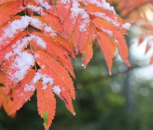 札幌で初雪観測・・・早いですが冬に備えて準備していきましょう。