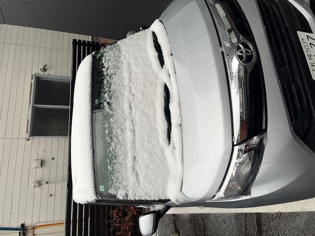 札幌は本日は大荒れの天気・・・事故に気をつけましょう。