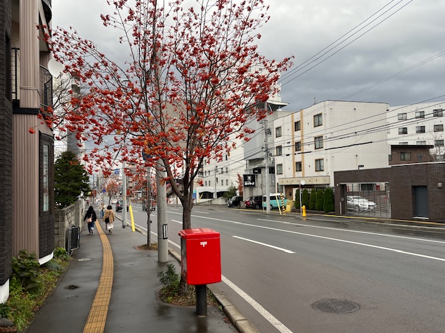 HITO病院見学のために本日は岡山までの移動日としています！