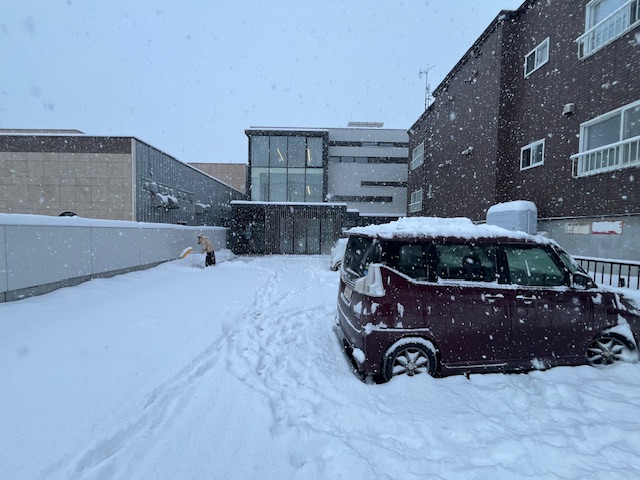 札幌は本日は大雪です。事故には気をつけて訪問したいところですね！