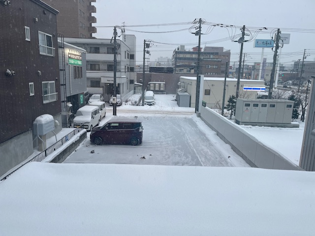 降雪の中、今日から本格的な仕事始めですね。