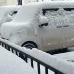 札幌は本日も雪がすごいですね。