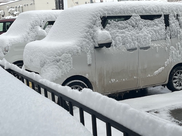 札幌は本日も雪がすごいですね。