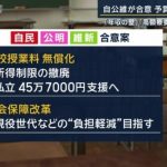 医療もタダ、学費もタダ・・・子供の時こそ公的サービスについての意義を考えるべきでは？