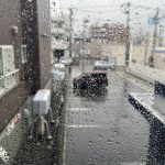 春の雨は趣を感じますね。