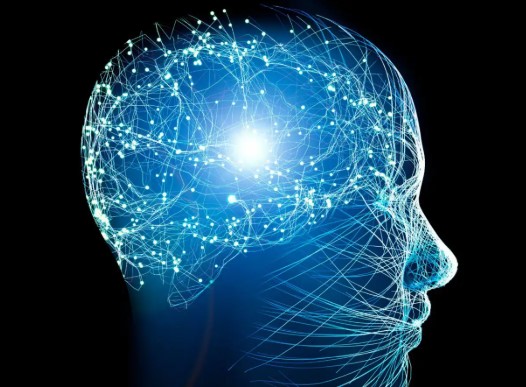資料提供：ＡＩ依存で劣化する思考力