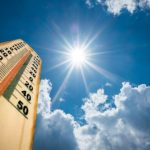 札幌って亜熱帯でしたっけ？