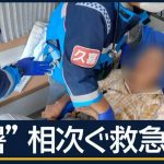 この時期にこそ救急医療や救急隊員の方の今後については考えていきたいですね【都内で118人が熱中症疑いで搬送　11～95歳の男女　29日午後9時時点　東京消防庁】
