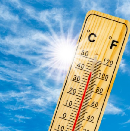 暑さで体調不良→往診で対応する毎日