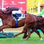 「勝ち馬に乗る」なんて誰でもできる！！難しいことは・・・