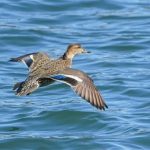 【立つ鳥跡を濁さ・・・】訪問看護ステーション勤務→自分で独立するのはいいけれど