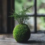 何気ない日常に潜む、小さな「発見」の喜び