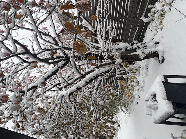 冬を乗り越える覚悟