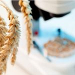 がん患者さんを食い物にする自由診療→疑似医療ビジネス・・・