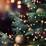 １２月スタート！１１月の新規患者さん人数、診療実績は・・・