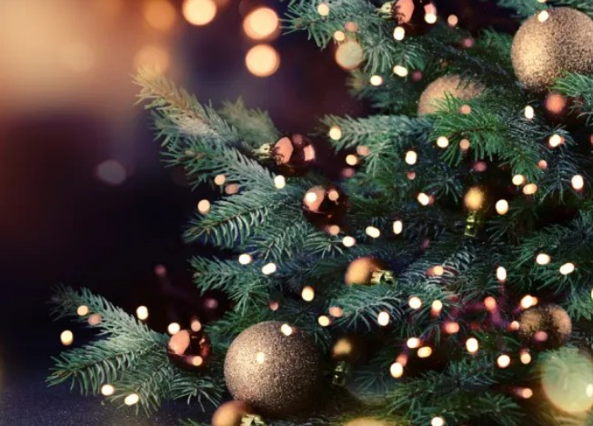 １２月スタート！１１月の新規患者さん人数、診療実績は・・・