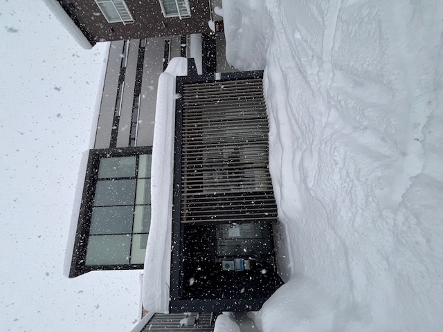 雪害・・・今日の外来＆訪問は無理はできないですね。