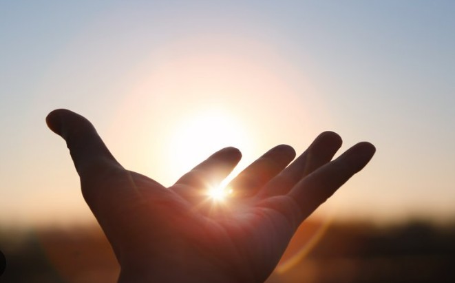 【２０２６年版】法人の歩みと「これから描く未来図」について