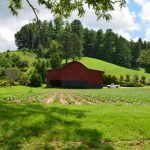 地方に医師だけ遍在しても意味はない、そう思いませんか？【生活支え、地域にゆきわたる医療を　医師の「偏在」から「遍在」へ】