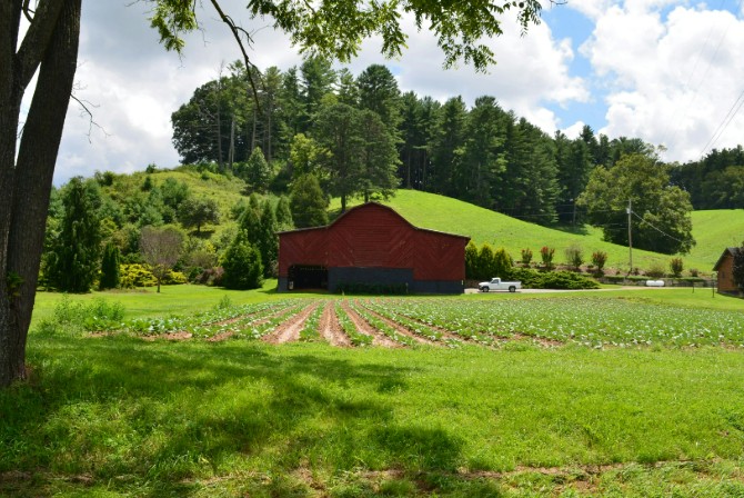 地方に医師だけ遍在しても意味はない、そう思いませんか？【生活支え、地域にゆきわたる医療を　医師の「偏在」から「遍在」へ】