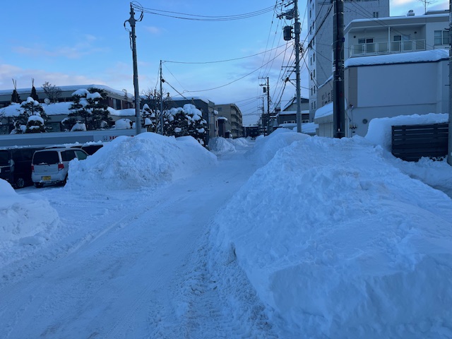 訪問診療の移動、時間節約のため小道を利用しています。