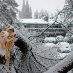 落雪には要注意!高所の雪かきはやめてくださいね~