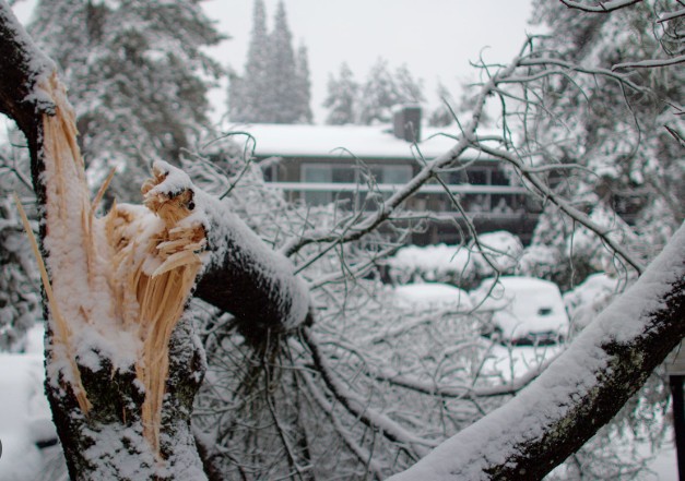 落雪には要注意！高所の雪かきはやめてくださいね～