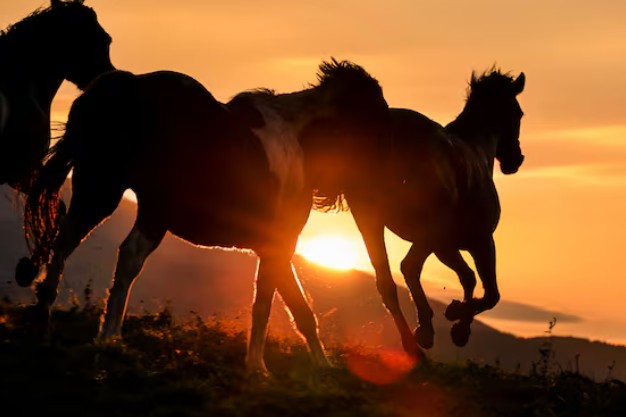 「無事是名馬」は至極の名言・・・開業医になって実感していますね