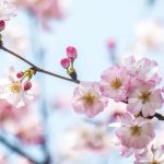 3月スタート。2月も多くの患者さんの自宅療養をお手伝いさせて頂きました。