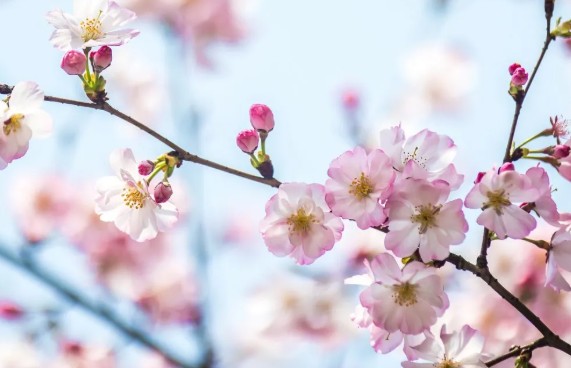 ３月スタート。２月も多くの患者さんの自宅療養をお手伝いさせて頂きました。