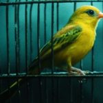 「炭鉱のカナリア」を意識する