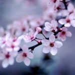 4月スタート、気持ちを切り替えて前に進む。