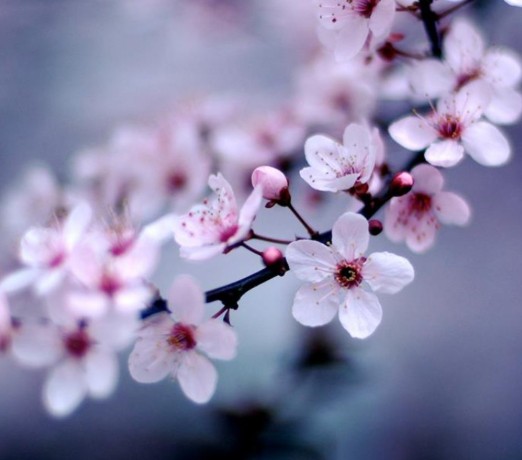 ４月スタート、気持ちを切り替えて前に進む。