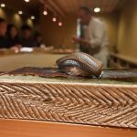 開業を検討している医師からの相談・・・今伝えていることは