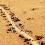 Draw a line in the sand～譲れない一線を死守できるか～