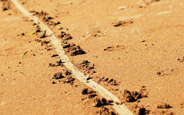 Draw a line in the sand～譲れない一線を死守できるか～