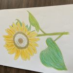 退院する患者さんからの温かいプレゼント【暮らしによりそう診療所から】