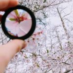 「できていること」に光を当てる～在宅医療の現場から～
